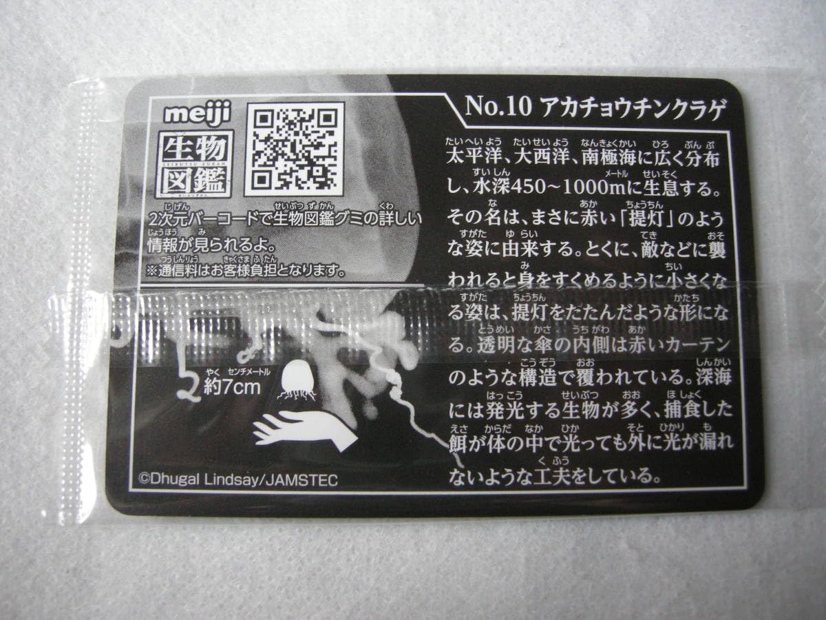 Amazon.co.jp: 明治 meiji 生物図鑑 深海生物編コレクションカード 10